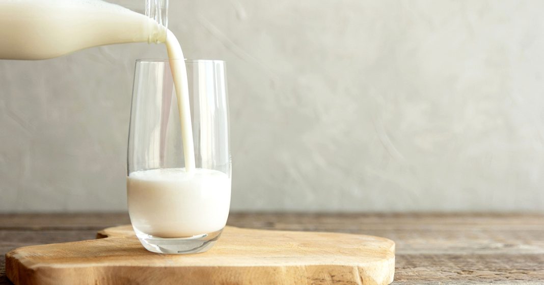 Las mejores marcas de leche según la OCU