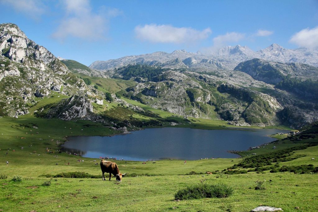 Parques Nacionales Para Hacer Senderismo En España 