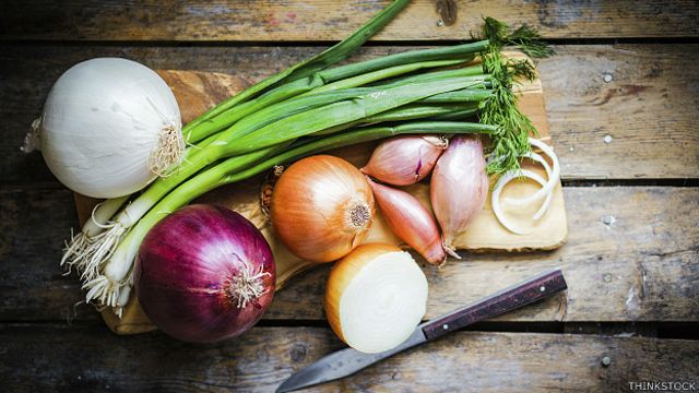 Mantiene Los Alimentos Por Más Tiempo 