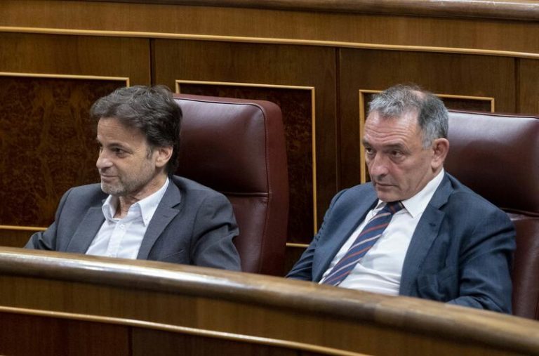 UP ve «correcto» que el TC aplace su decisión sobre el recurso del PP: «Se para un posible golpe blando a la democracia»