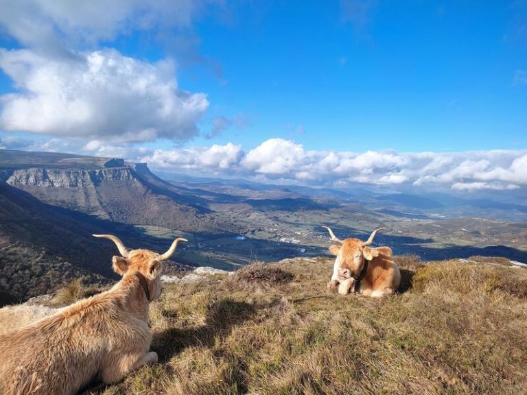 Cielo soleado este sábado en la mitad este del país, mientras que la mitad oeste estará nublada con lluvias en Galicia