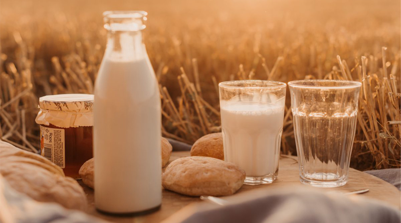 Grasas En La Leche