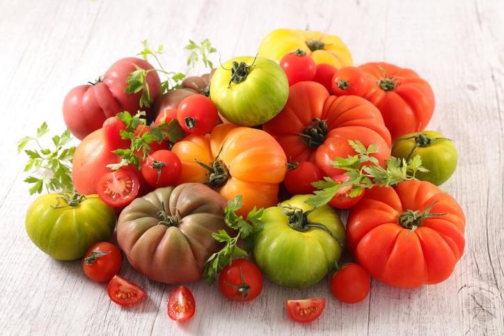 Conoce Más Sobre El Origen Del Tomate 