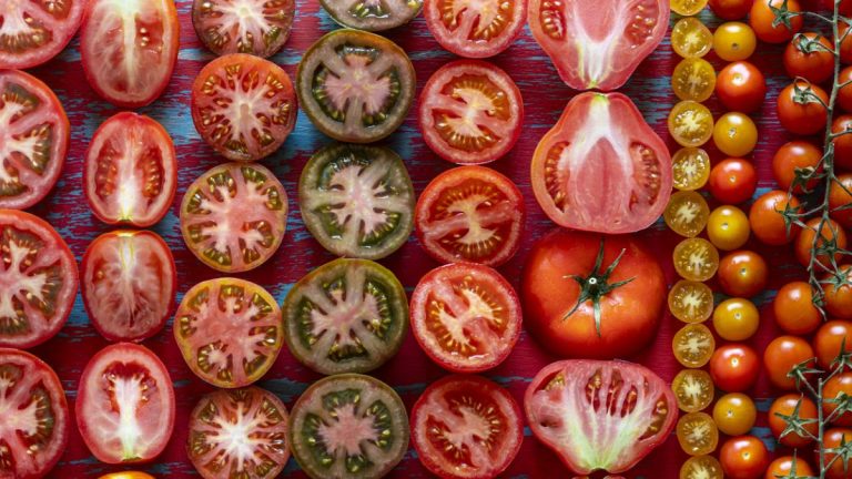 El motivo por el que el tomate ya no sabe a tomate