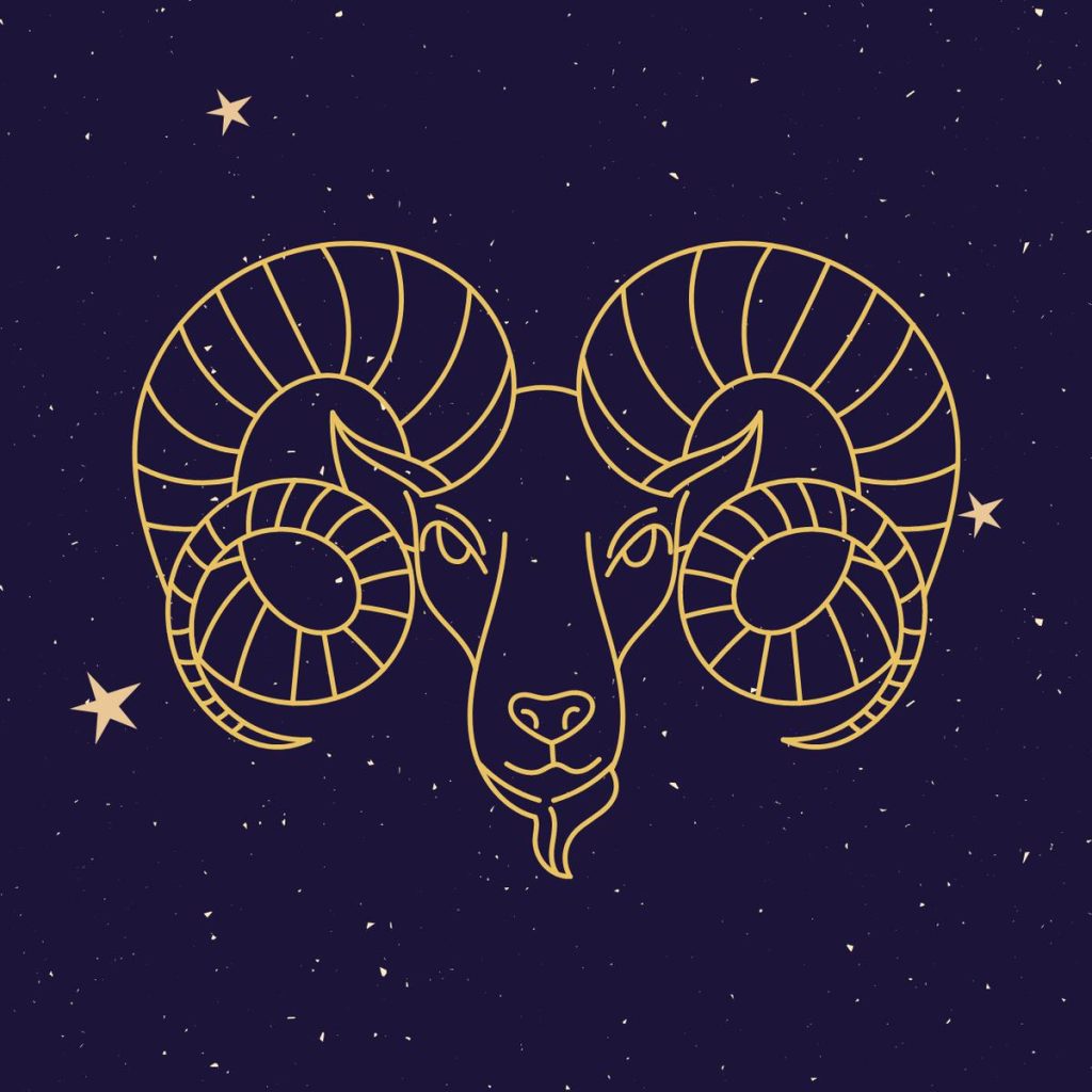 En Netflix Aries Tu Eres Género Acción 