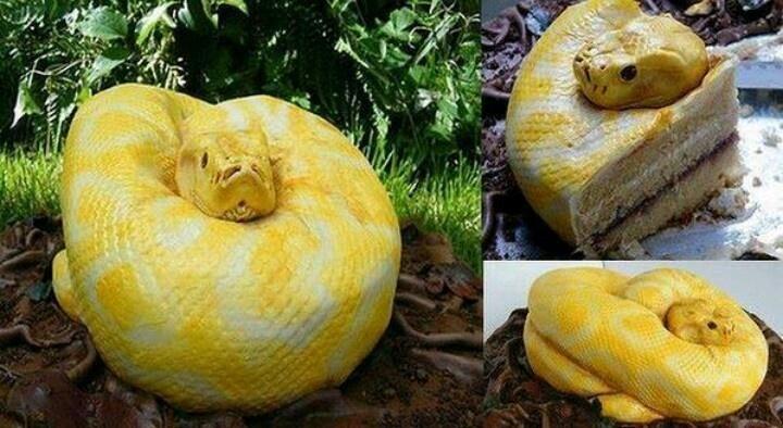 Los Pasteles Más Flipantes Del Mundo