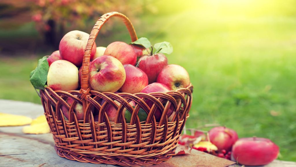Las Manzanas Reducen Significativamente El Riesgo Cardiaco