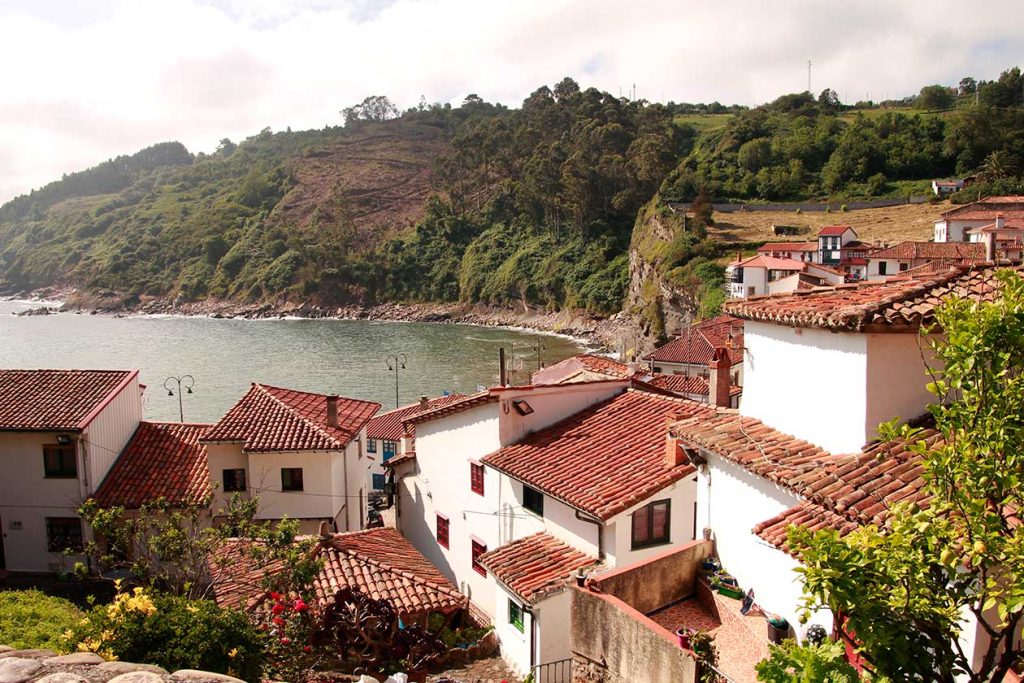 Tazones
