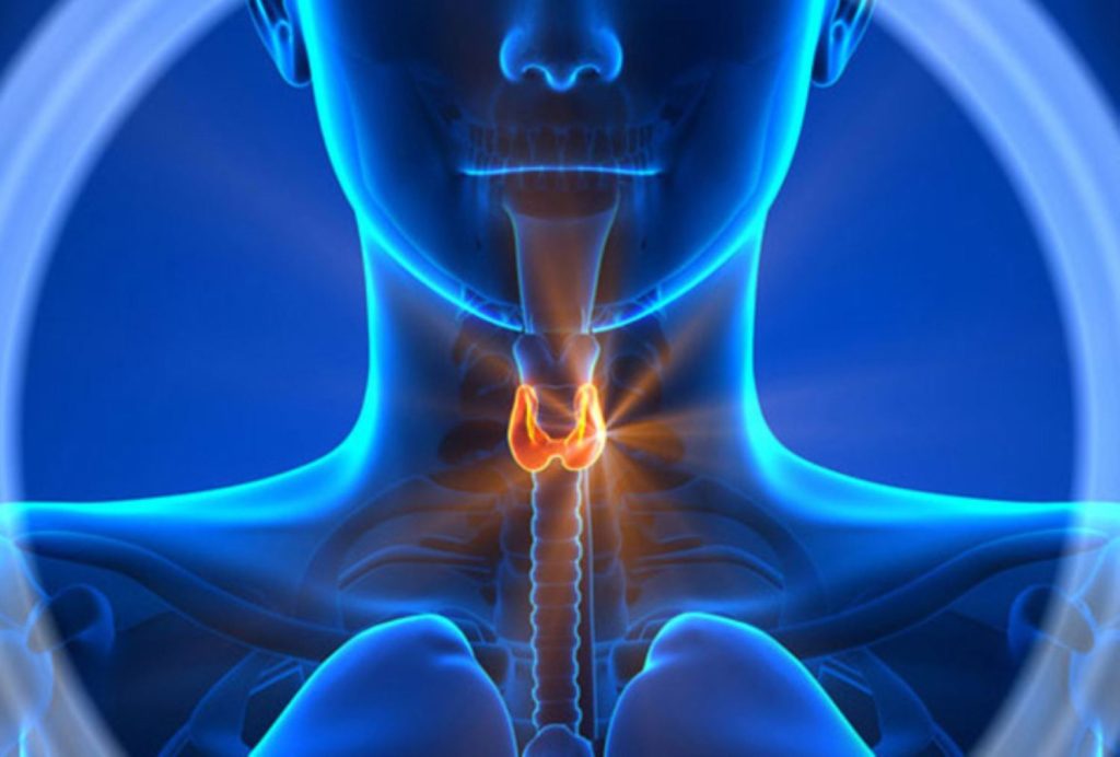 Cáncer De Tiroides: Estas Son Las Causas Que Lo Provocan