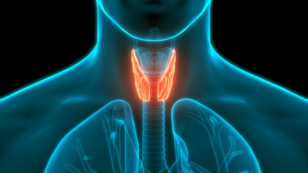 Cáncer De Tiroides: Estas Son Las Causas Que Lo Provocan