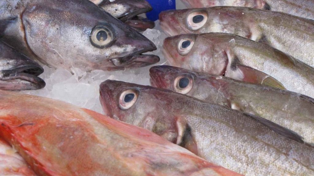 El Truco Para Recuperar El Pescado Que Huele