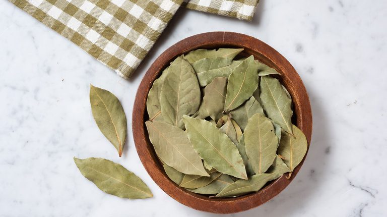 Los usos desconocidos del laurel más allá de la cocina