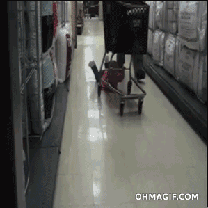 Gente Que No Debió Llevar A Sus Hijos De Compras