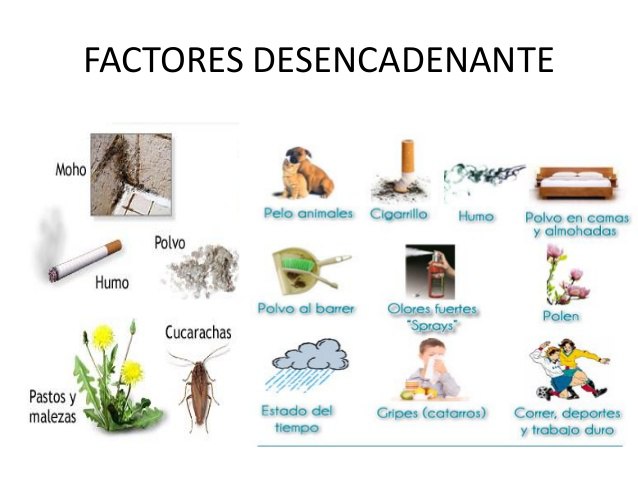 Estos son los principales desencadenantes del asma 