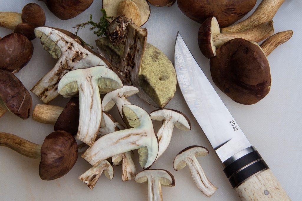 La Crema De Setas De Jordi Cruz Perfecta Para La Carne
