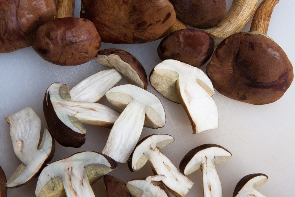 La Crema De Setas De Jordi Cruz Perfecta Para La Carne