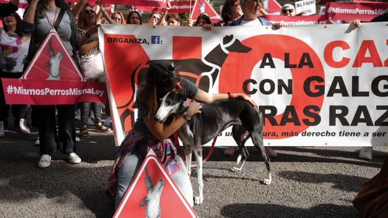 Los perros de caza, el tema que mantiene bloqueada la ley de bienestar animal
