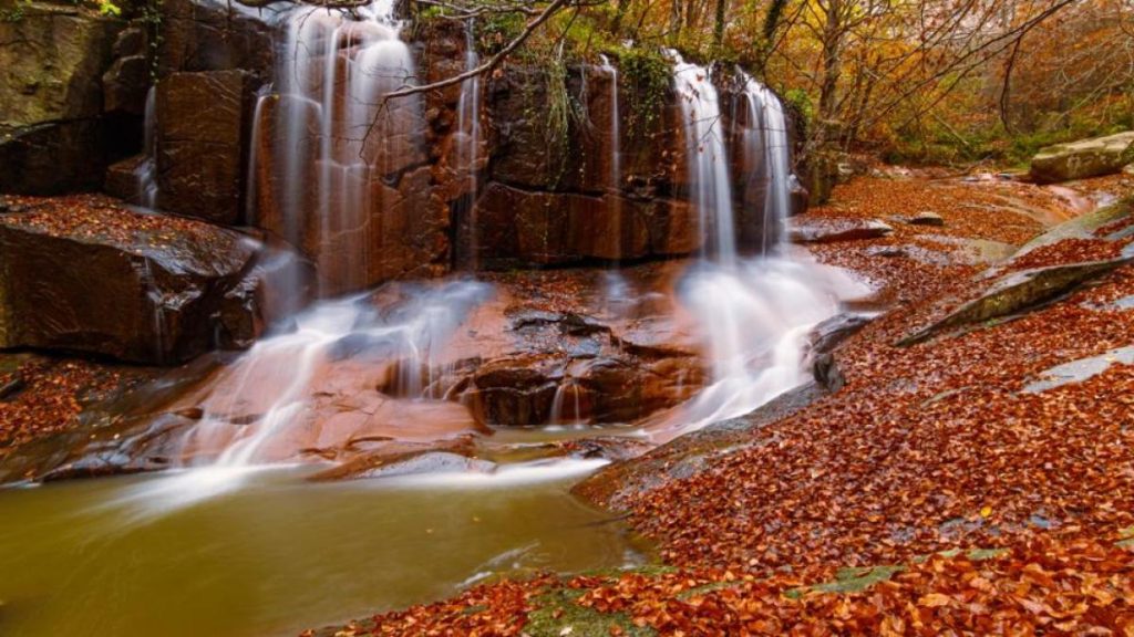 Parque Natural Del Montseny Un Embalse Otoñal Y Sereno