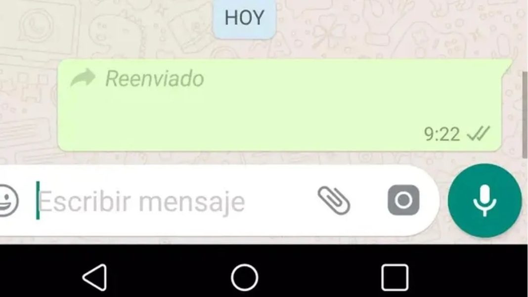 Método oficial de WhatsApp para reenviar mensajes