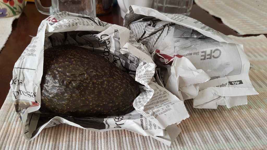 Aguacate