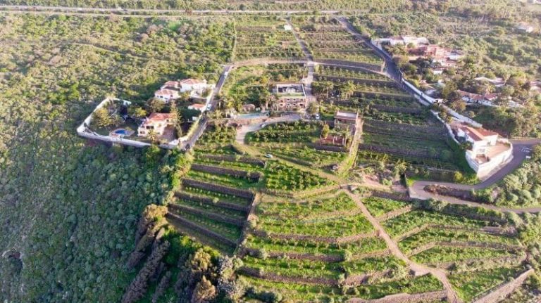 Turismo ecológico de calidad en Tenerife para desconectar de manera sostenible con San Diego Apartamentos