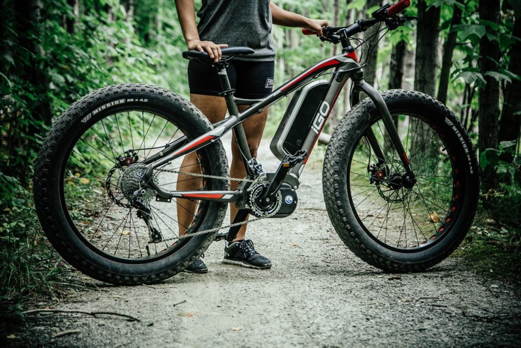 Bicilceta Trekking
