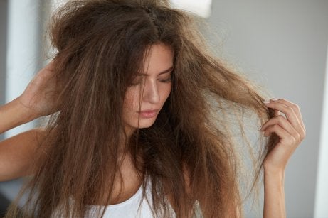 Cabello Reseco