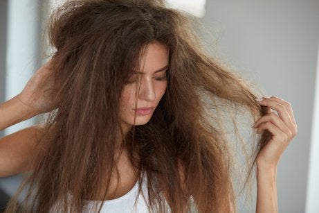 cabello reseco