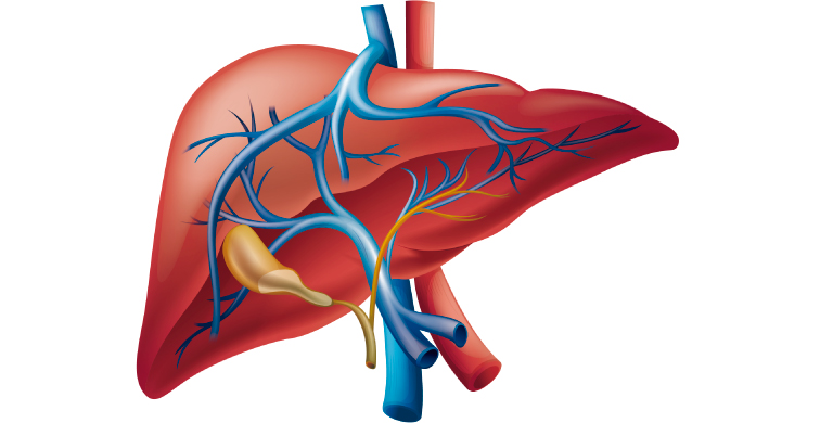 Cáncer De Higado