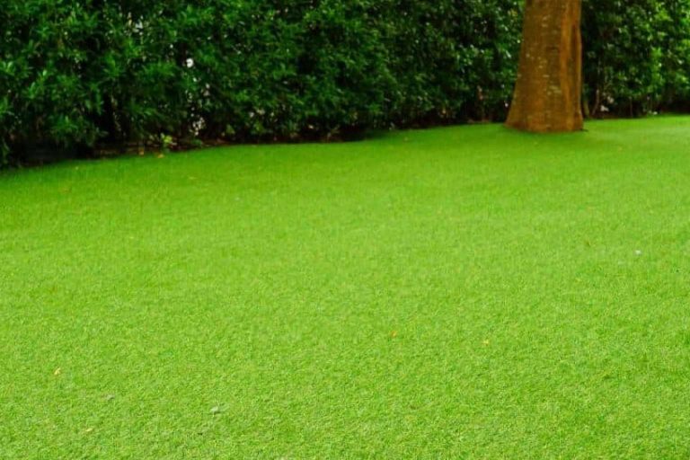 Albergrass es una empresa productora y fabricante de césped artificial