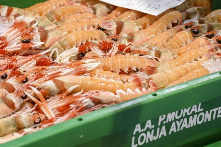 Lonja de Ayamonte explica los principales beneficios de consumir cigalas