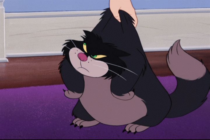 Los Gatos De Ficción Más Queridos