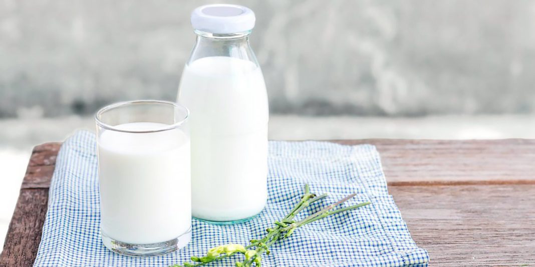 ¿Por qué deberías no volver a consumir leche?
