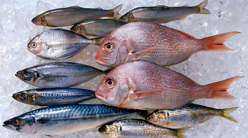 Recetas Típicas