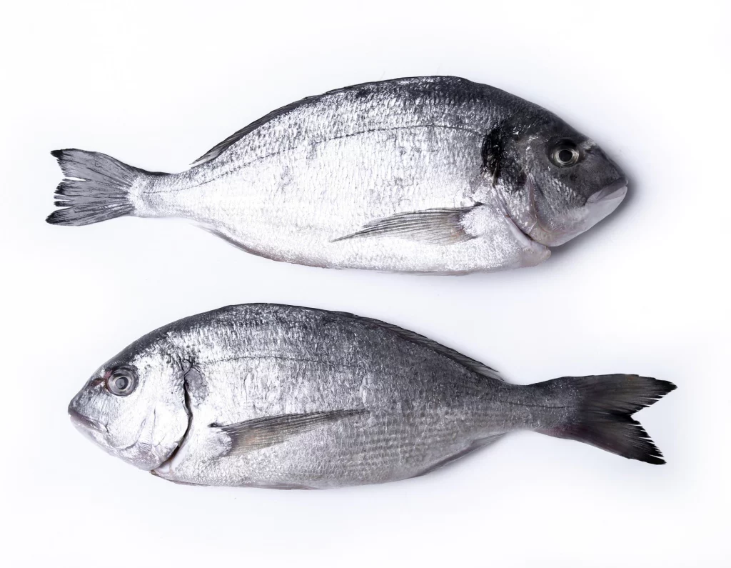 Los Beneficios De Comer Pescado