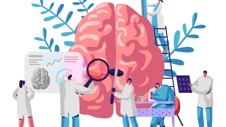 Actividad Mental Y Logía Que Significa Estudio