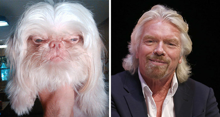 Famosos Que Parecen Animales