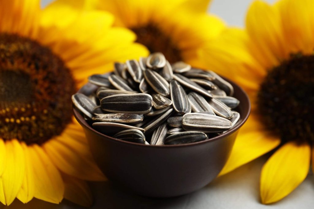 Pipas Girasol