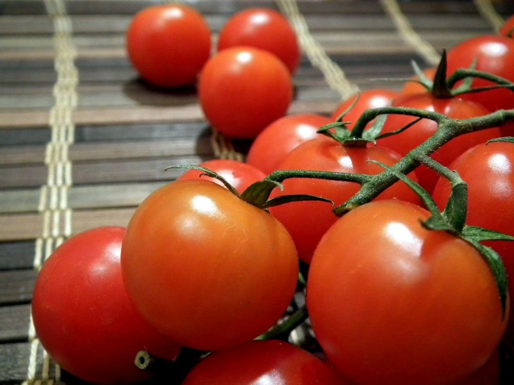 Este Es Un Tipo De Tomate En Rama 