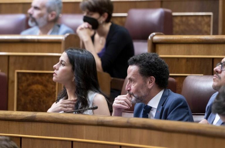 El Gobierno veta una ley Ciudadanos para la elección directa de diputados provinciales