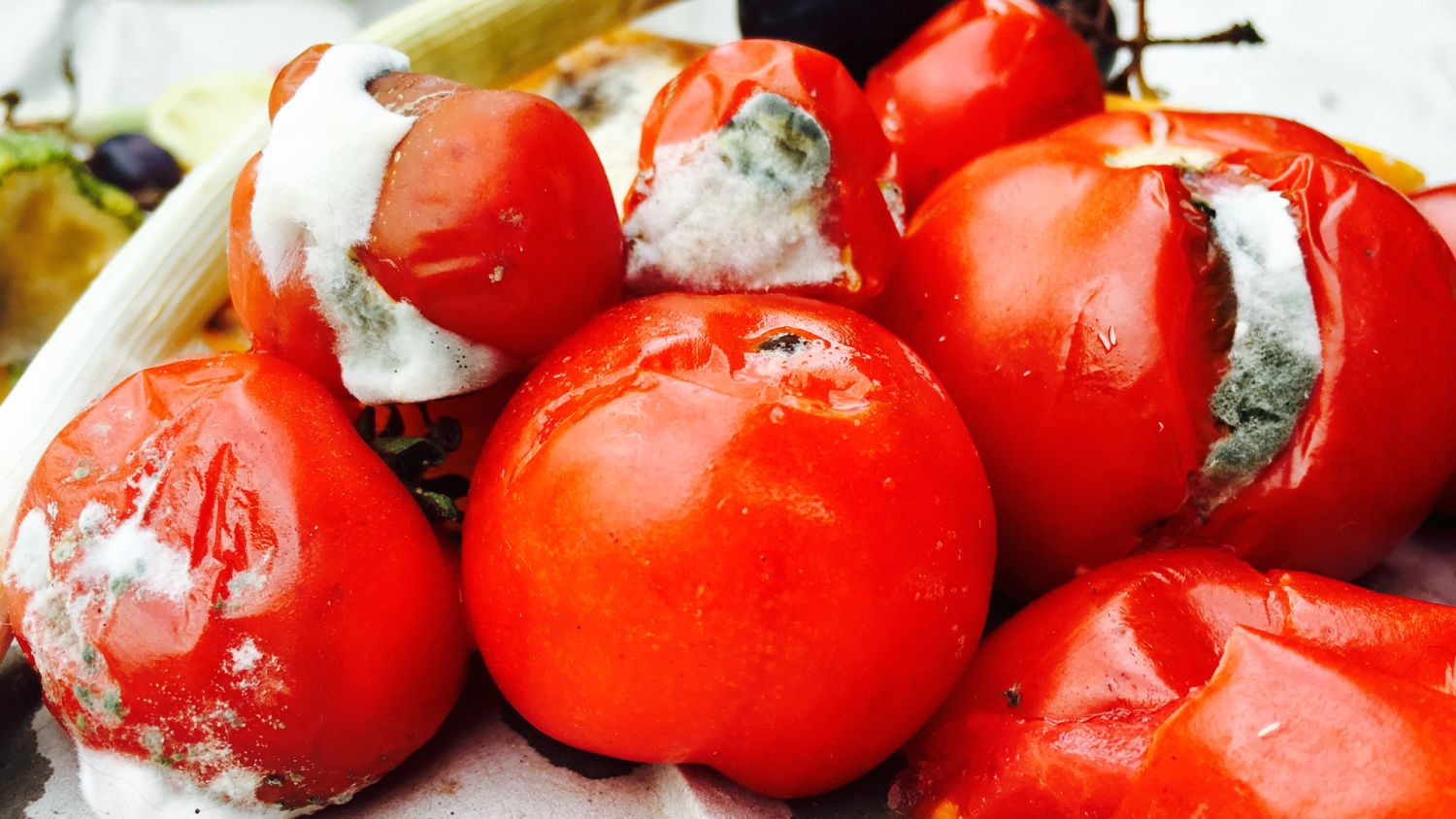La Forma Como Debes Guardar Este Alimento