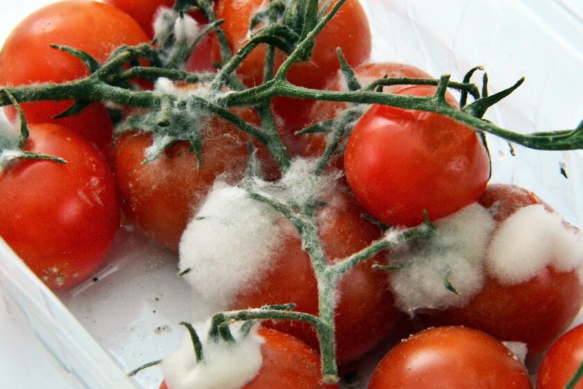 La Forma Como Debes Guardar Este Alimento