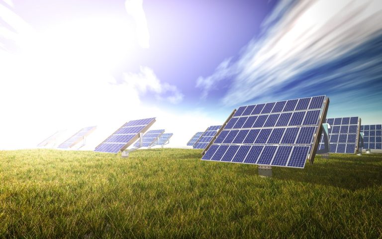 Los proyectos de energía solar en suelo son un lugar de protección y restauración de la biodiversidad
