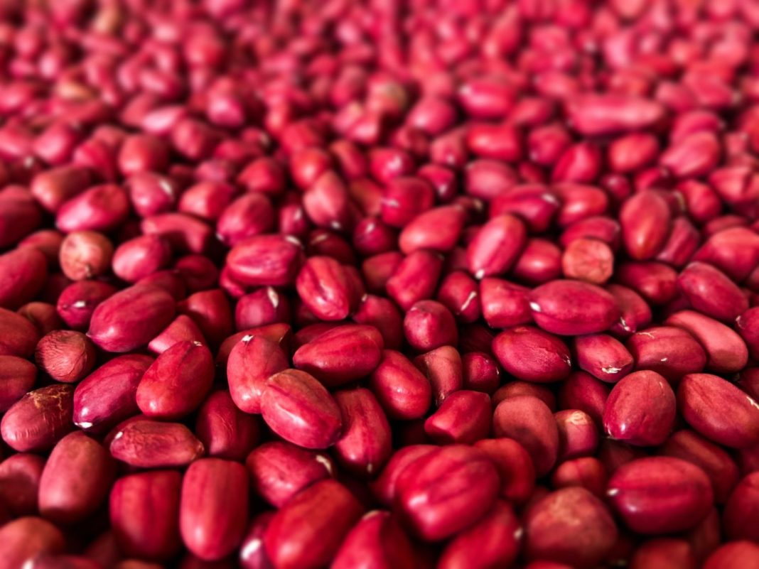 Proteína vegetal: una alternativa poderosa para el crecimiento