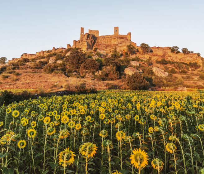 Seguimos En Soria Con El Castillo De Calatañazor