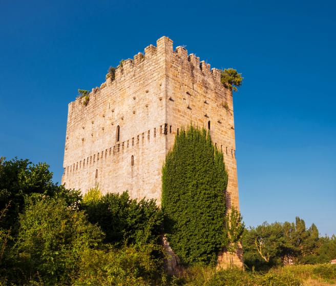 En Burgos, El Castillo De Los Velasco