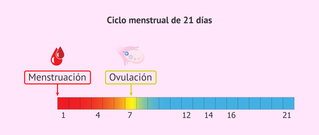 ¿Puede Haber Embarazo Cerca Del Periodo?