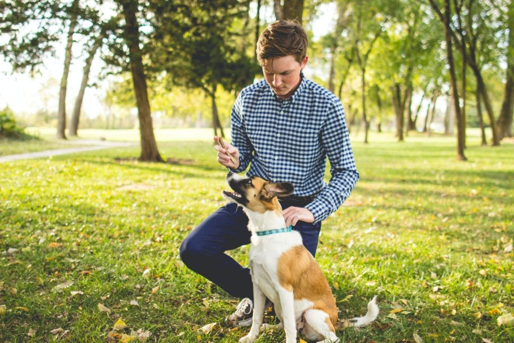 Esto Es Lo Que Cuesta Al Año Tener Un Perro