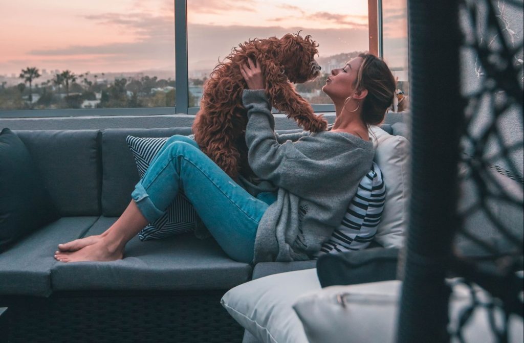 Cuanto Cuesta Tener Un Perro Al Año