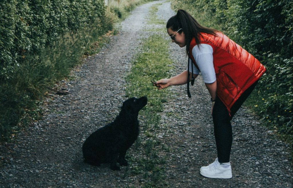 Esto Es Lo Que Cuesta Al Año Tener Un Perro